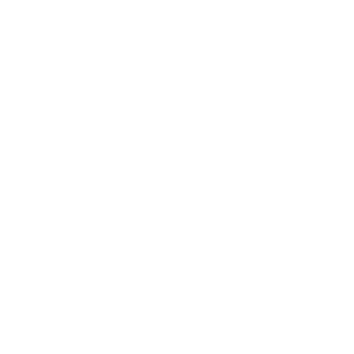 Icon funktionierendes System